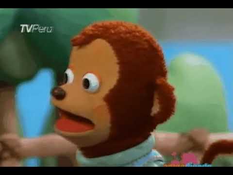 Pedro Monkey Puppet - Awkward Look Meme - Green Screen 